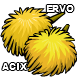 Participant ERVO ACIX